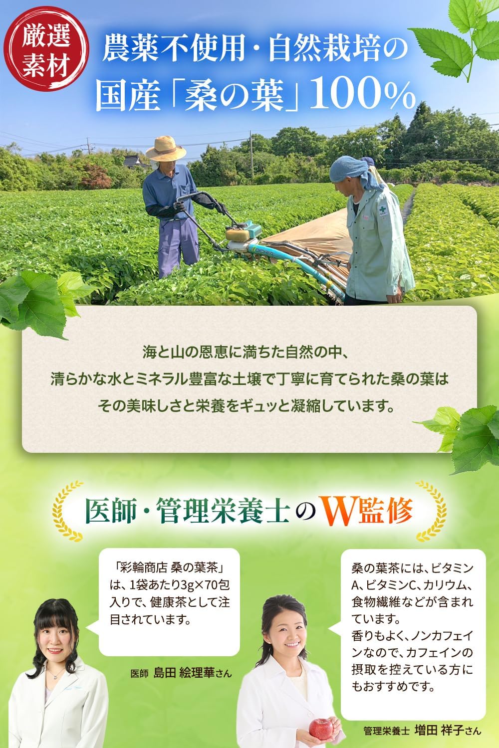 桑の葉茶 国産 ノンカフェイン 無添加 3g×70包入り