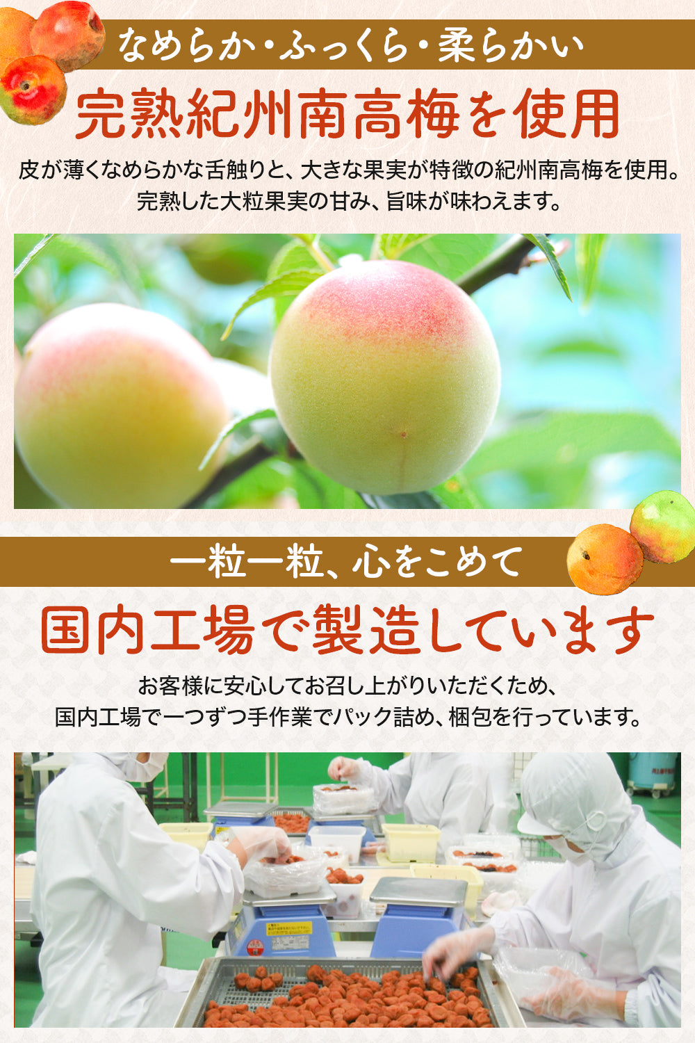 りんご酢梅干し 完熟南高梅 塩分3％ 国産 400g