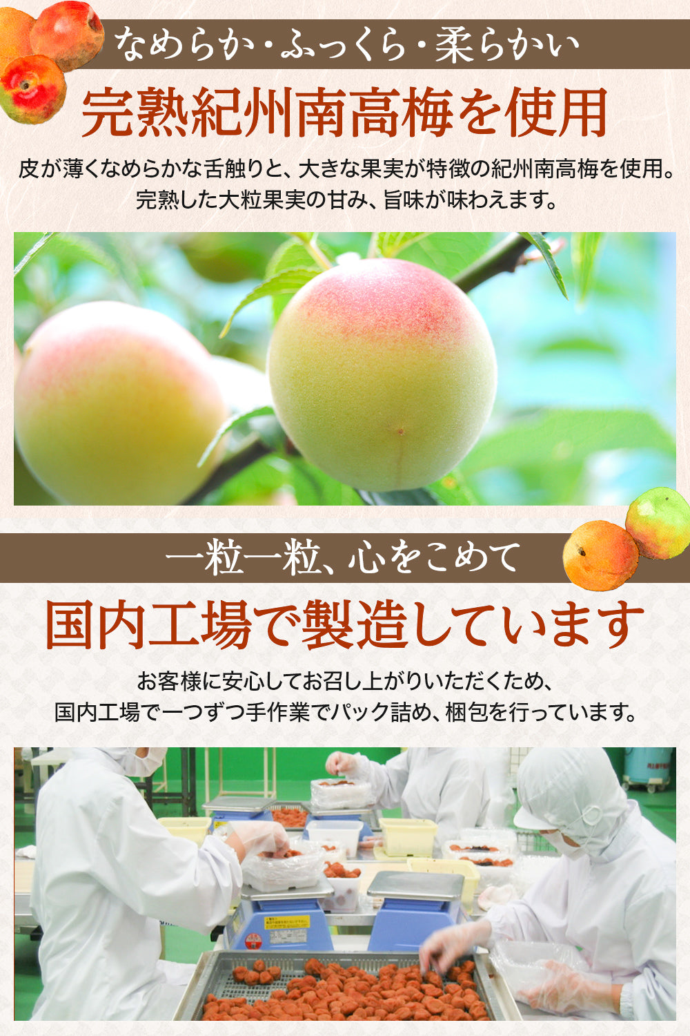 白干し梅干し 無添加 紀州南高梅 塩分20％ 国産 400g