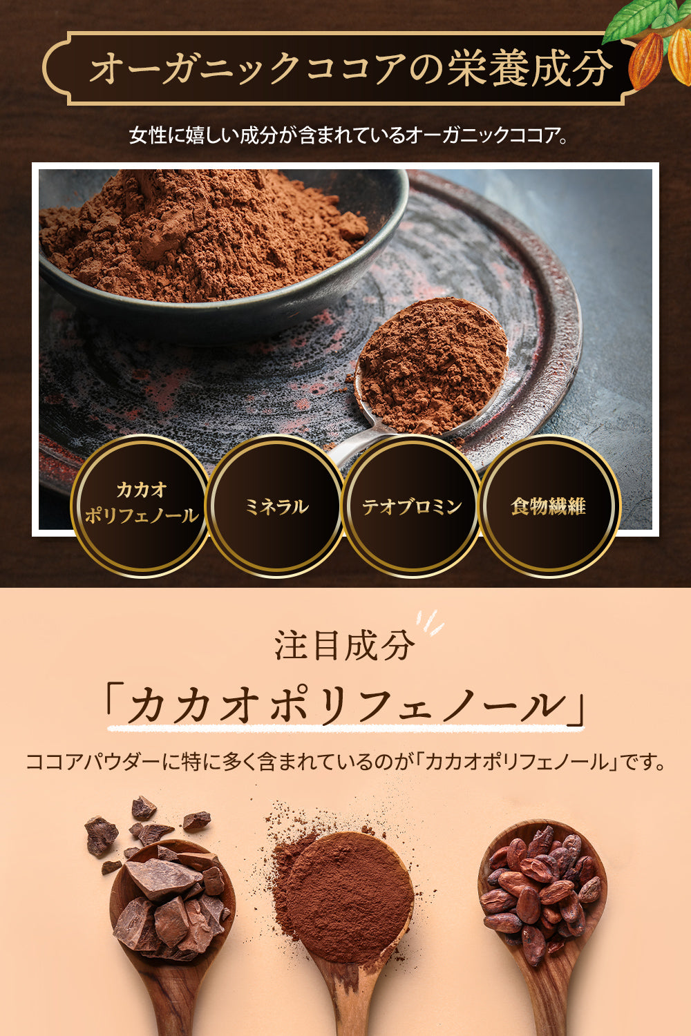 ココアパウダー オーガニック 有機JAS 無糖 カカオ100% 無添加 250g