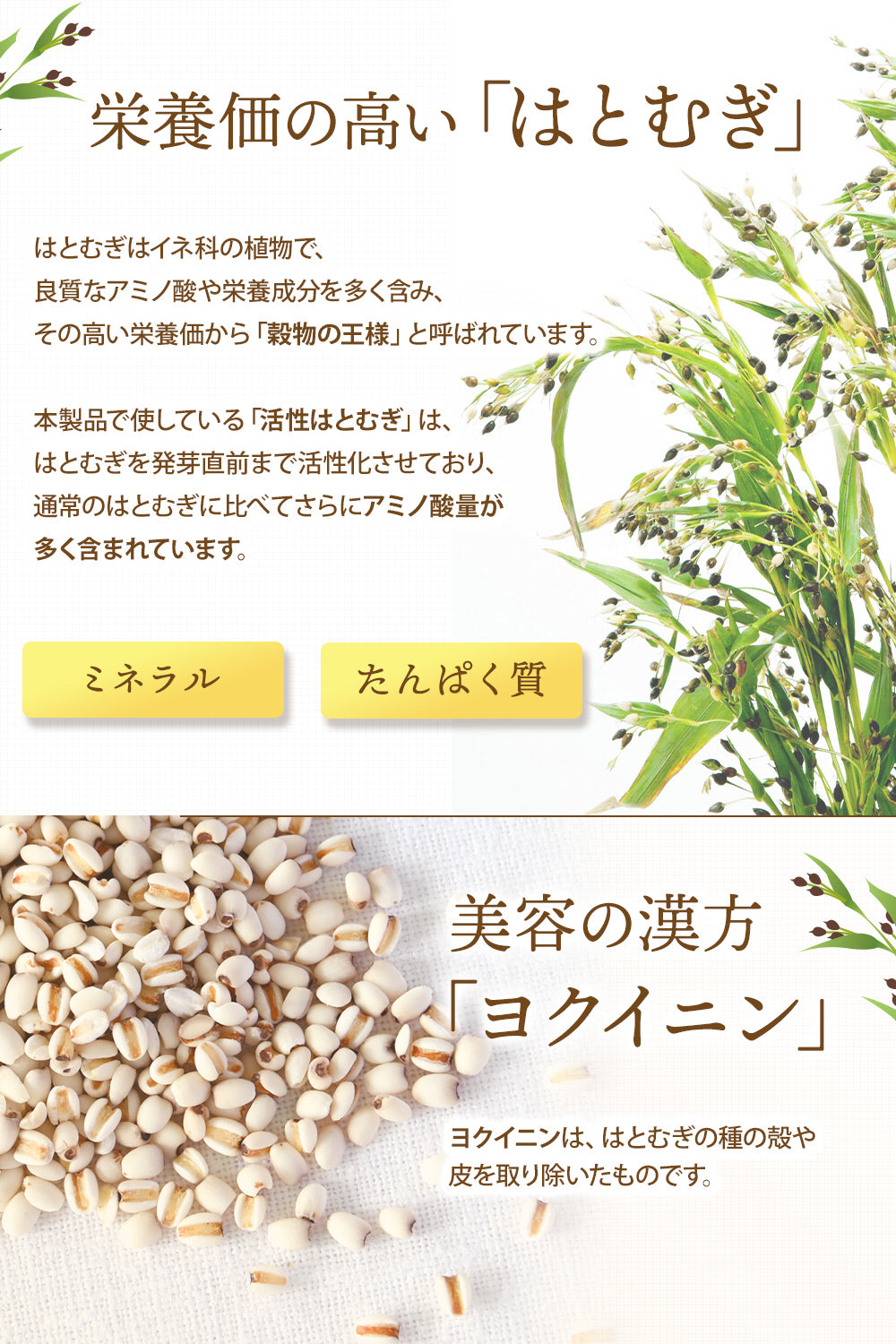 活性はとむぎ茶 国産100％ ティーバッグ 無添加 残留農薬検査済み ノンカフェイン 30包