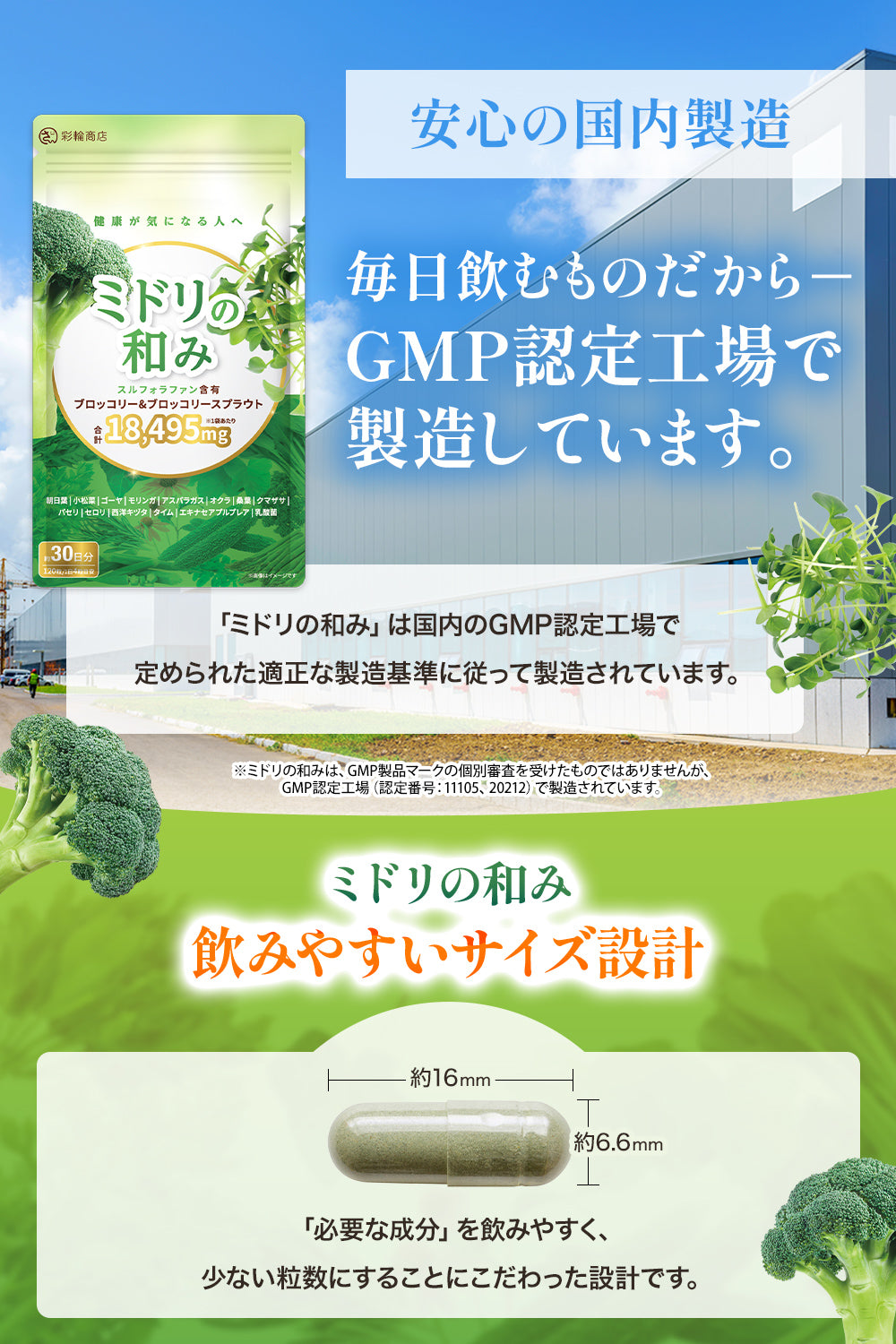 ミドリの和み スルフォラファン サプリ 国内製造  約30日分 120粒