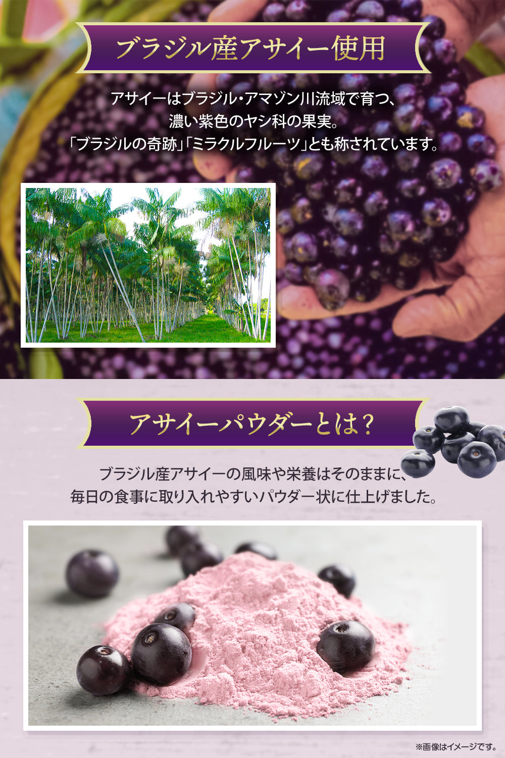 アサイーパウダー 無糖 100g