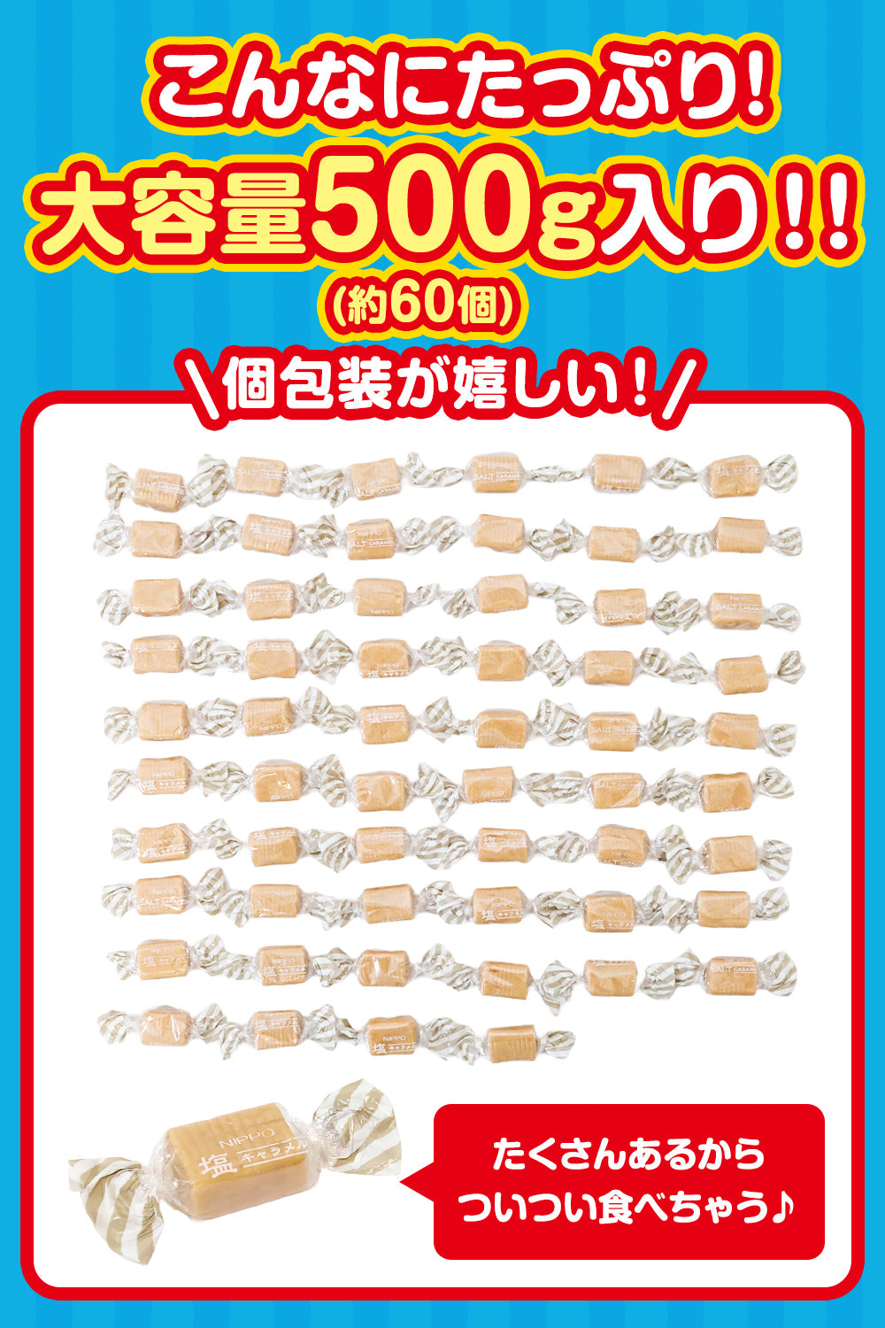 塩キャラメル 個包装 国産 駄菓子 500g