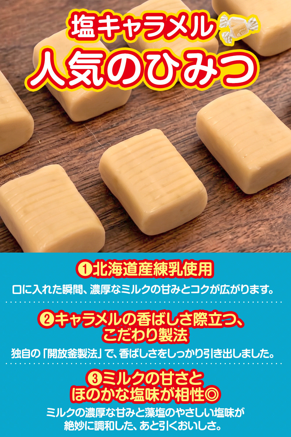 塩キャラメル 個包装 国産 駄菓子 500g