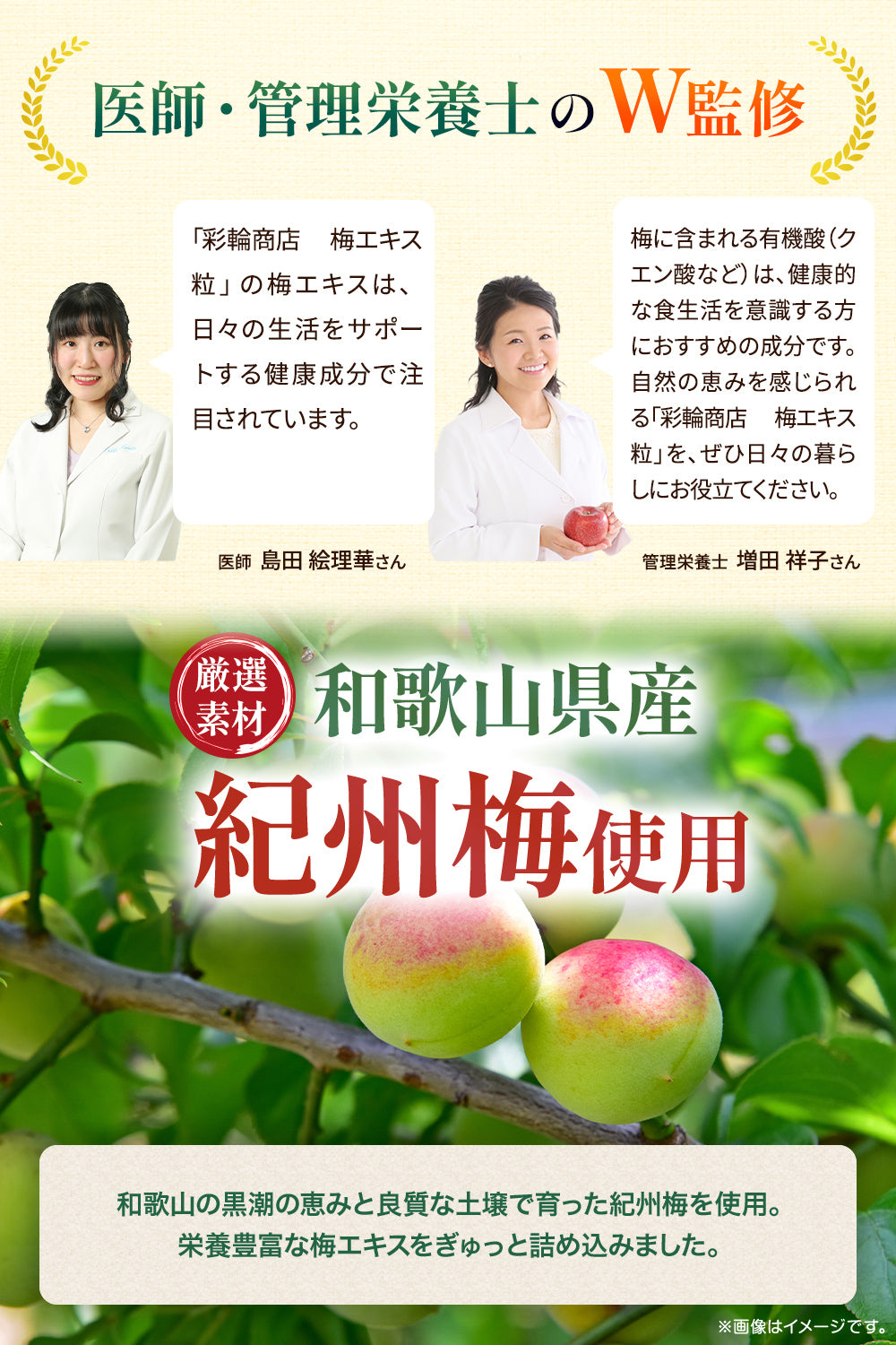 梅肉エキス粒 和歌山県産紀州梅使用  国産 50g