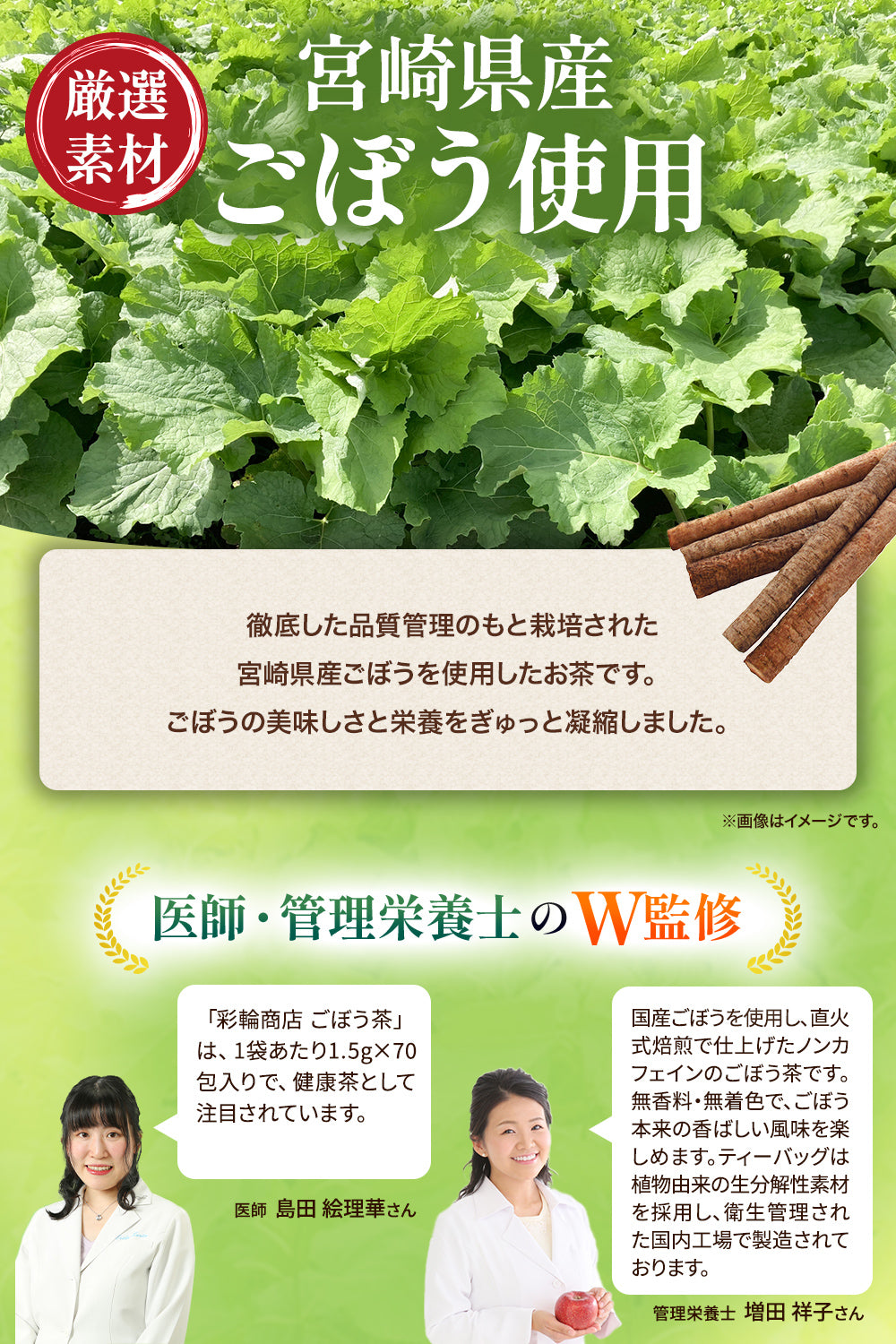 ごぼう茶 国産 無添加 ティーバッグ 70包入