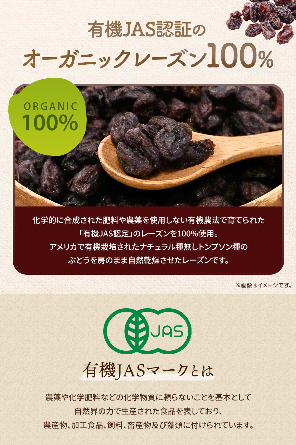 有機レーズン オーガニック 無添加 砂糖不使用 ノンオイル 300g
