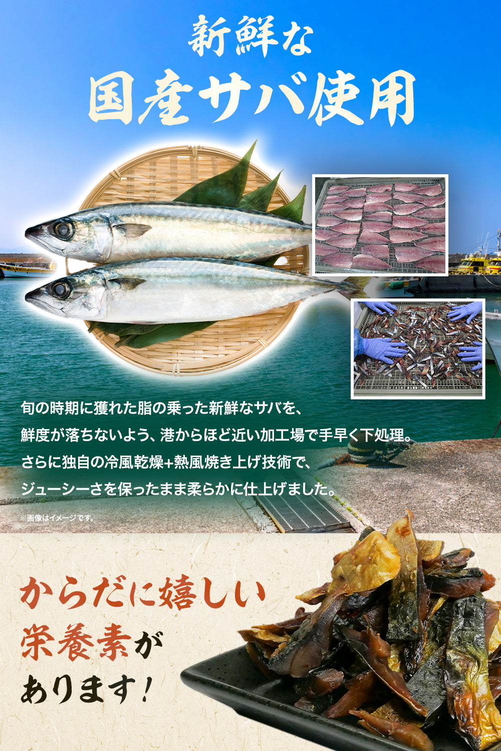 炙り鯖ジャーキー おつまみ 国産 常温保存 120g チャック付