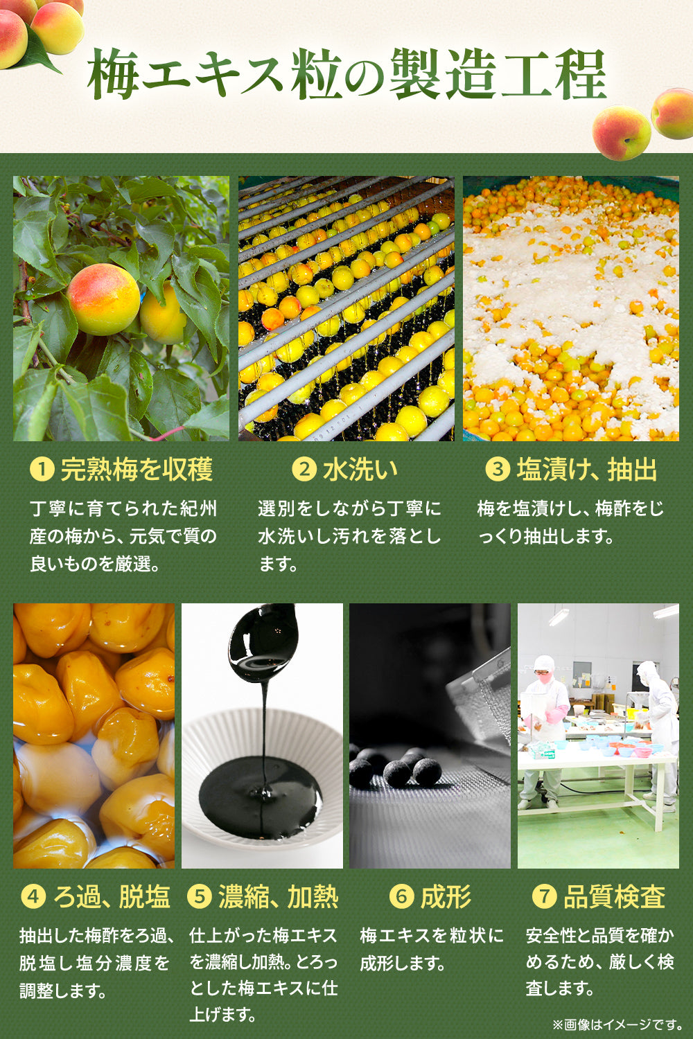 梅肉エキス粒 和歌山県産紀州梅使用  国産 50g