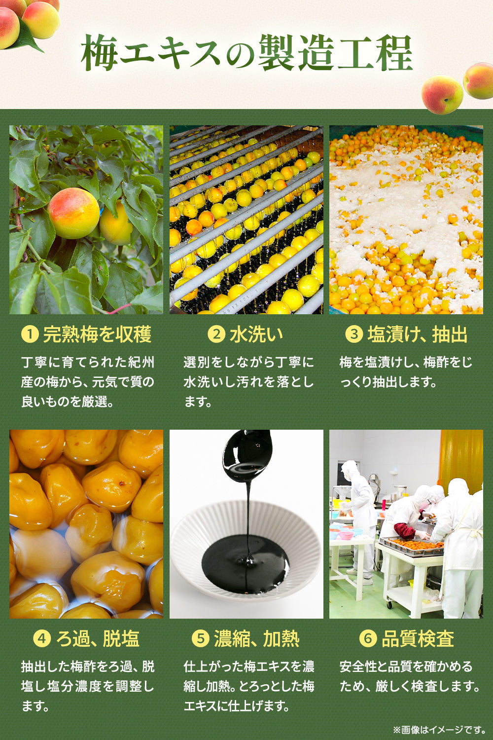 梅エキス 紀州梅【特許製法】 梅肉エキス 無添加 70g – 彩輪商店